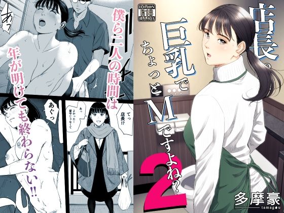 店長、巨乳でちょっとMですよね？2 表紙